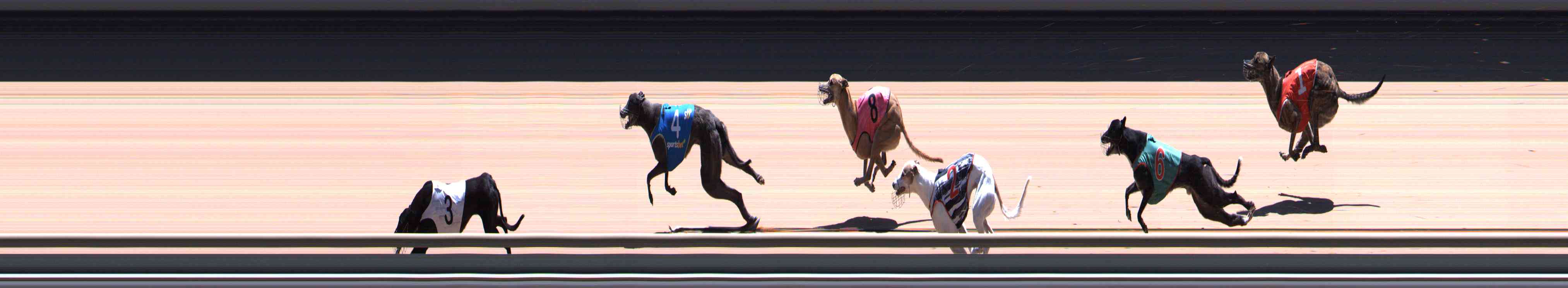 Race result finish photo